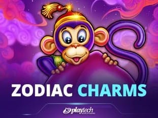 Zodiac Charms